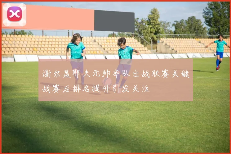 谢尔盖耶夫元帅率队出战联赛关键战赛后排名提升引发关注