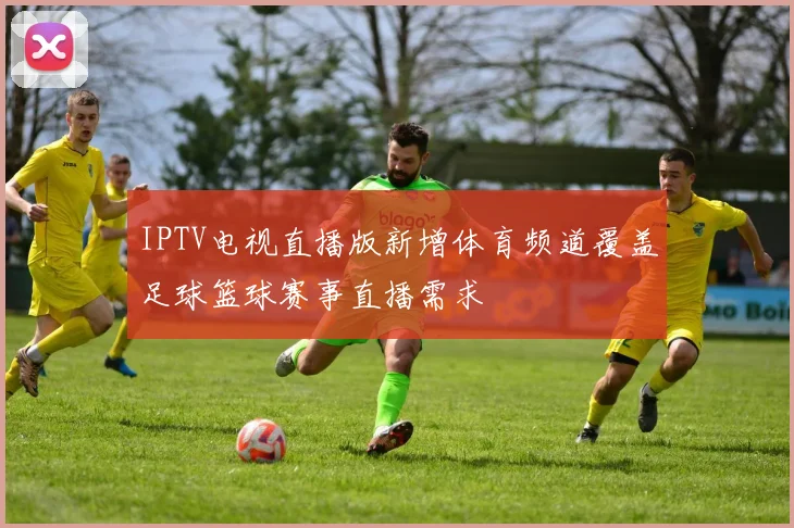 IPTV电视直播版新增体育频道覆盖足球篮球赛事直播需求