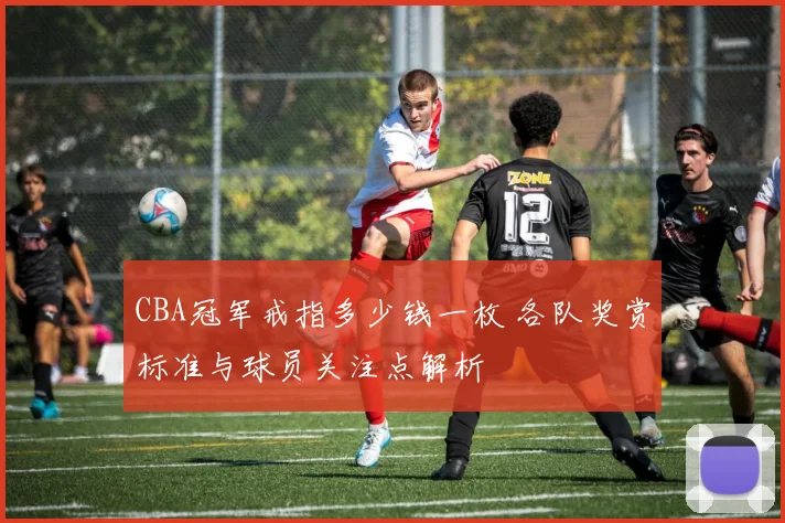 CBA冠军戒指多少钱一枚 各队奖赏标准与球员关注点解析